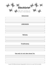 Ameise-Steckbriefvorlage-sw-2.pdf